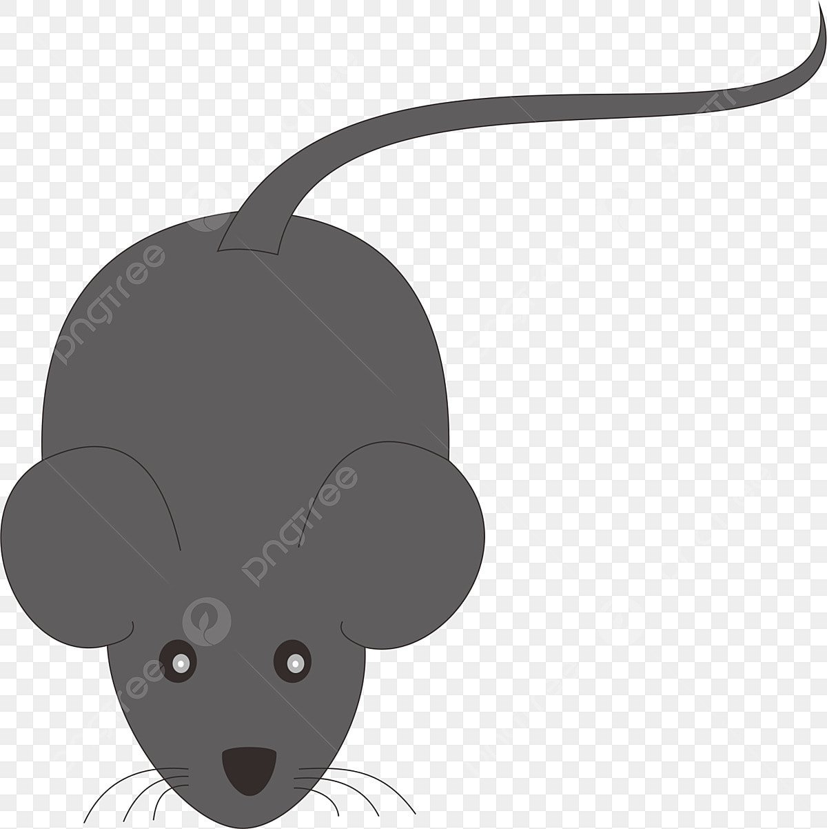 Мышка без хвоста для детей