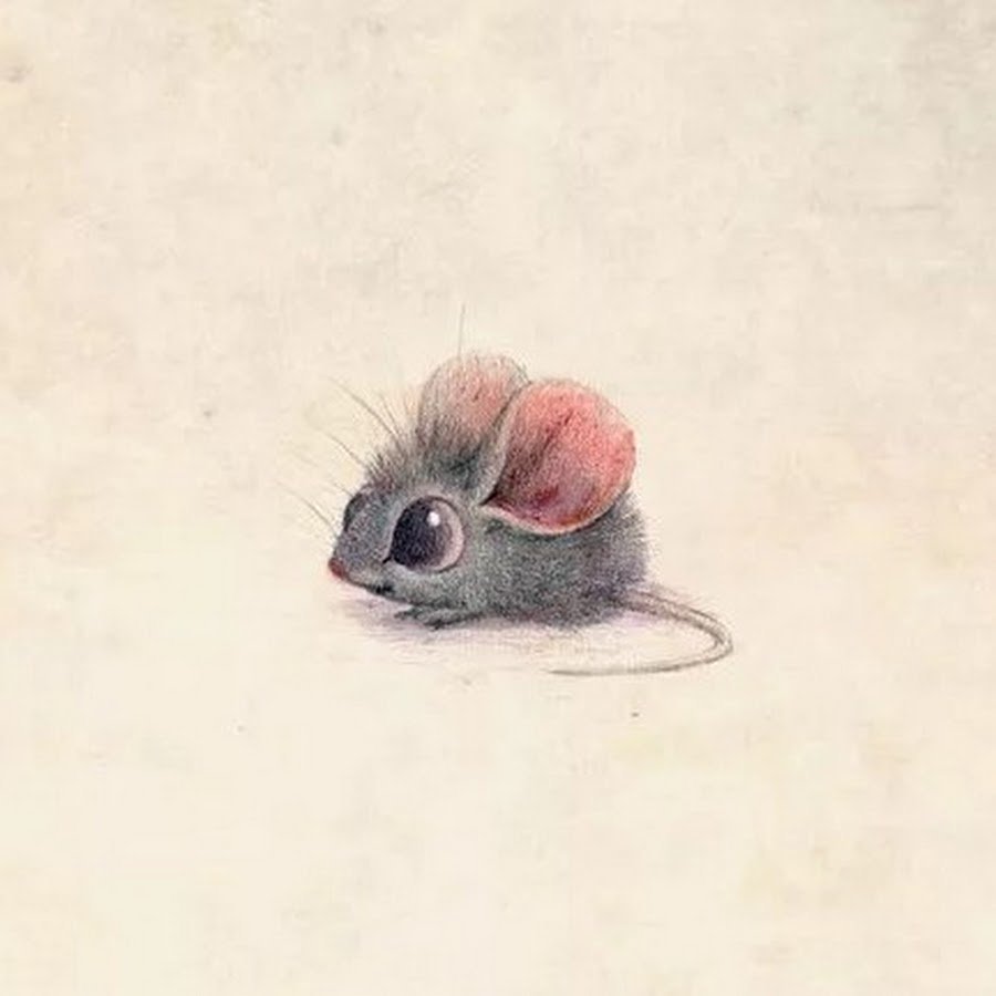 Мышь раскраска для детей