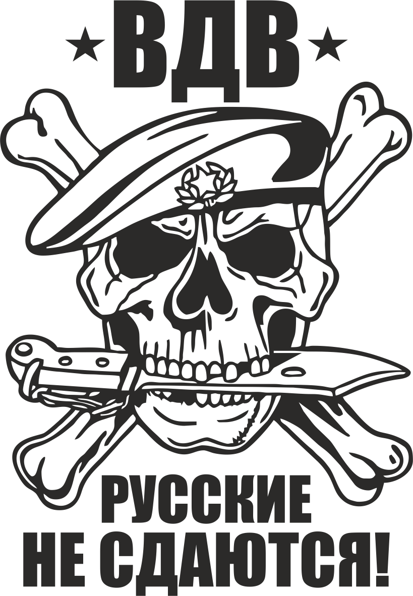 Прикольные наклейки ВДВ