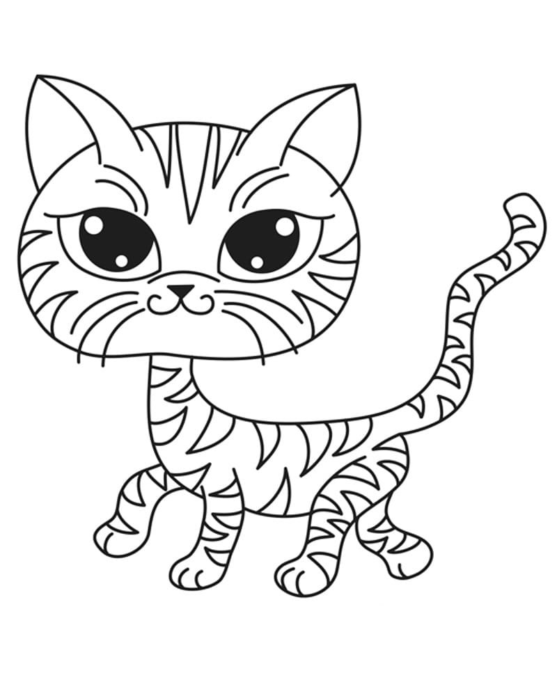 Котик бубу раскраска