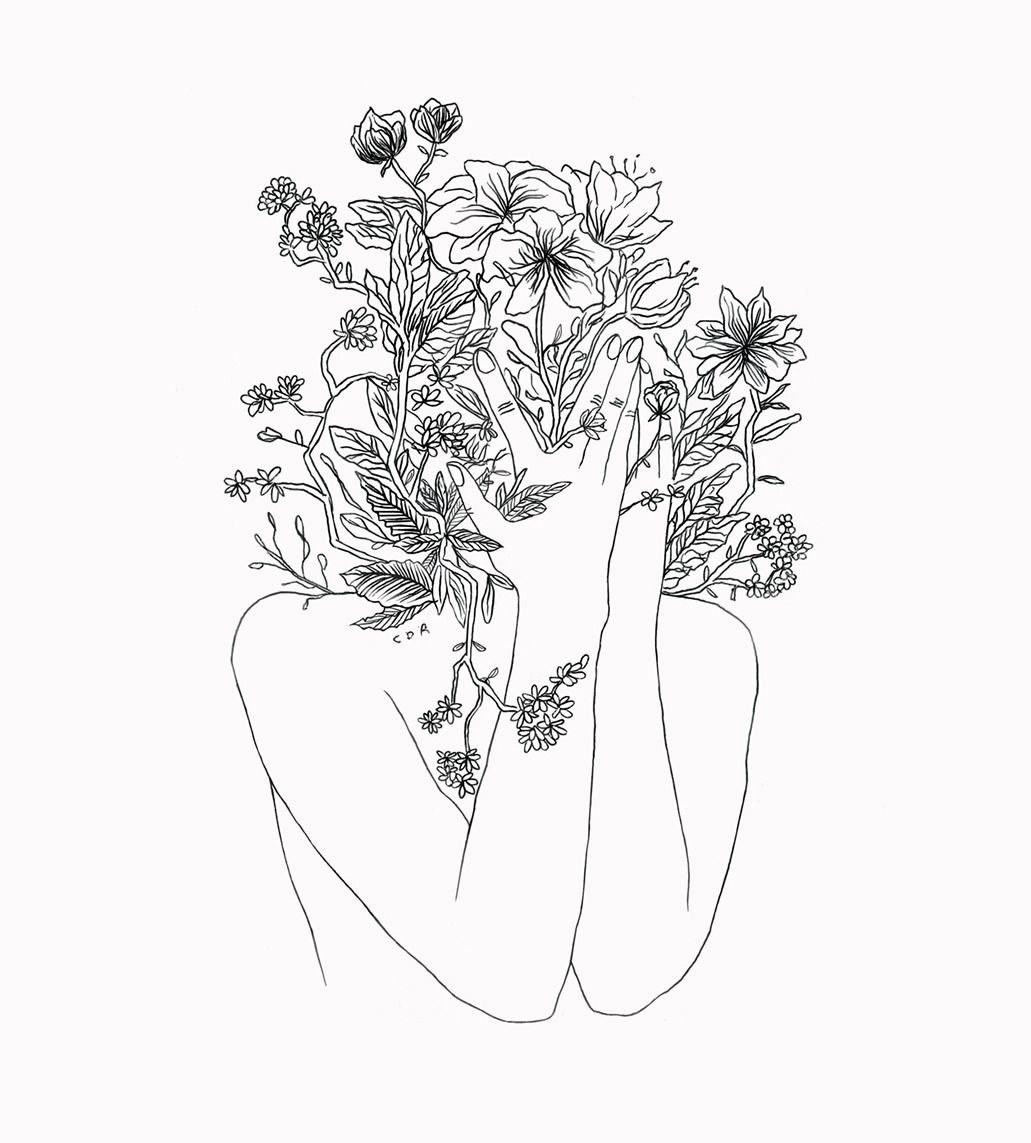 Череда трехраздельная, золотушная трава