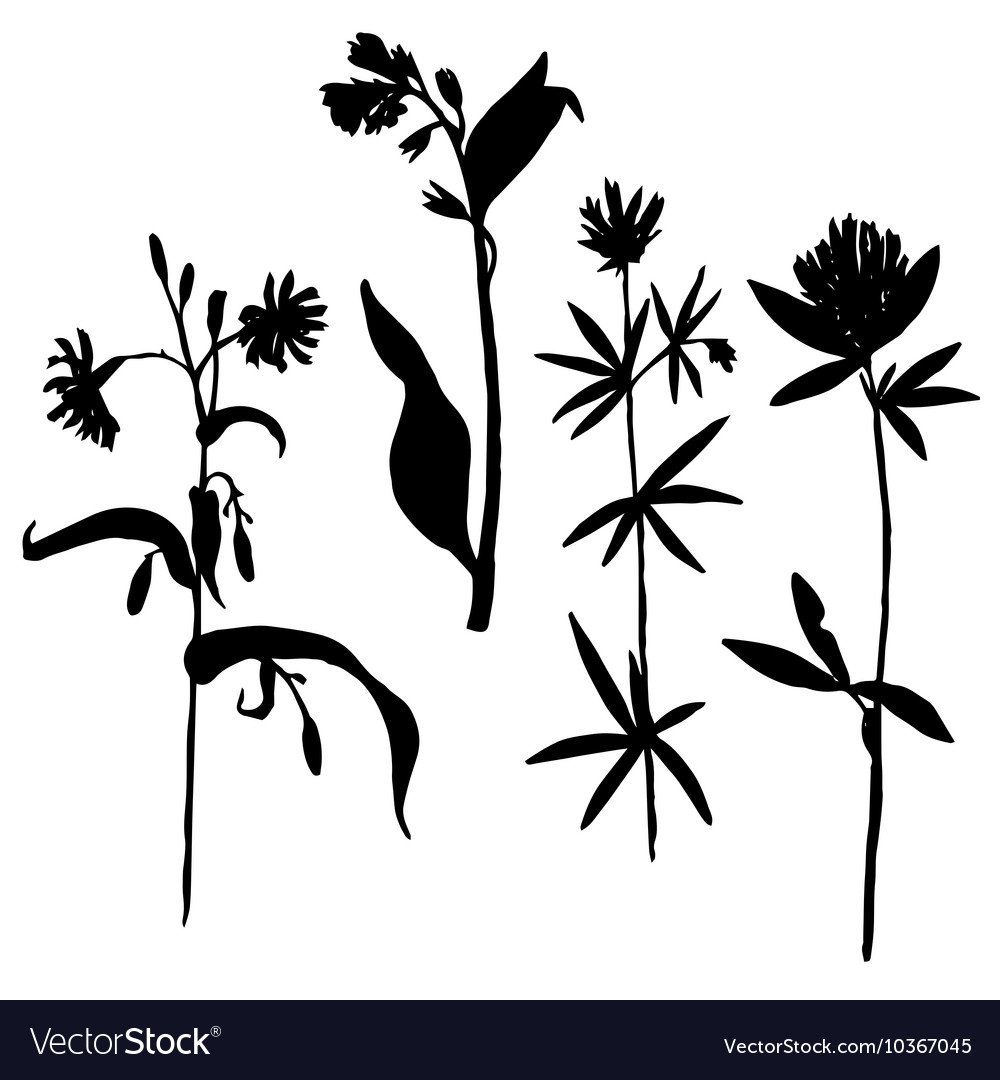 Череда трехраздельная на белом фоне