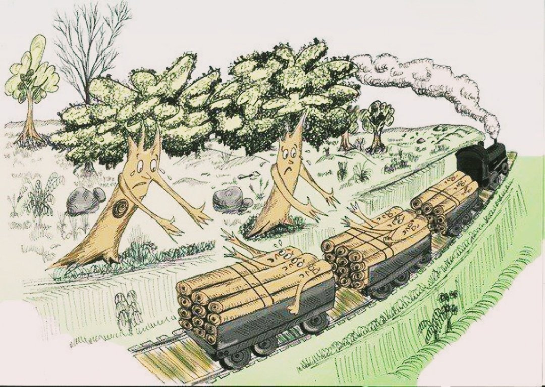 Вырубка лесов