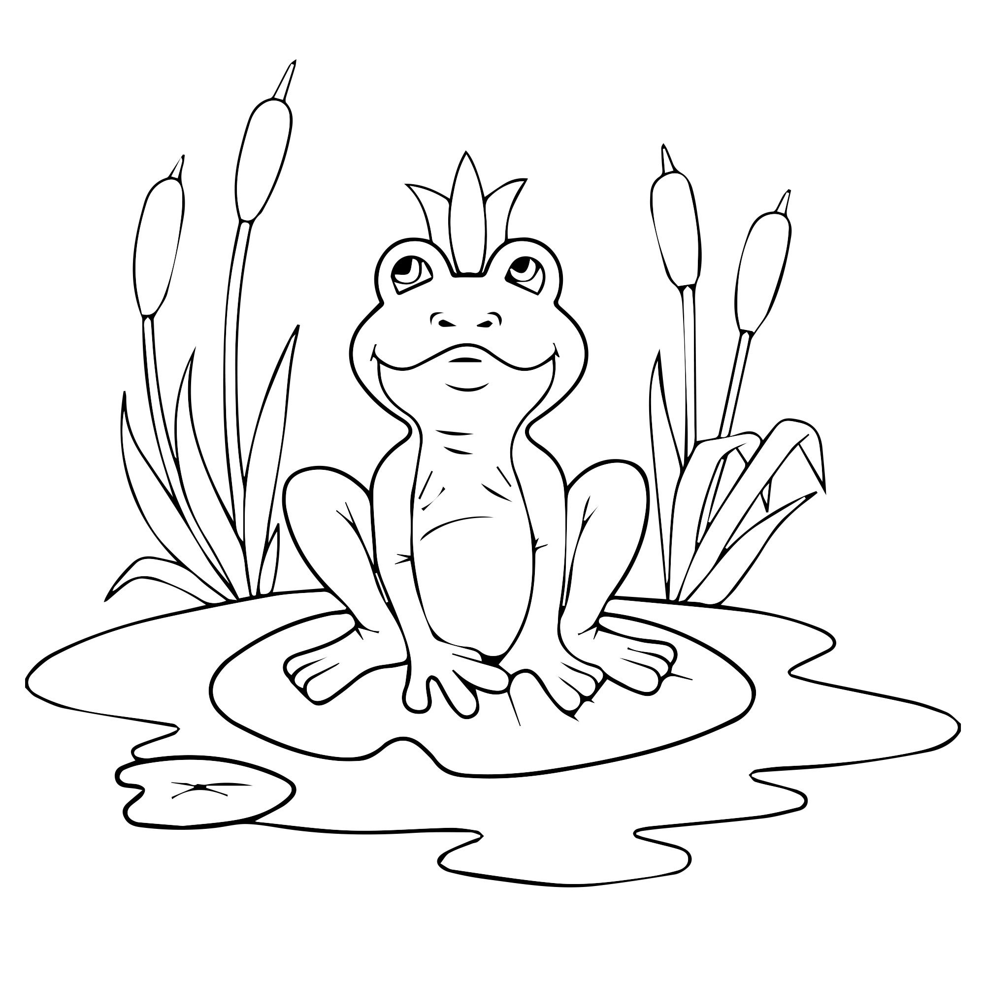 Царевны лягушки поэтапно. Разукрашка Царевна лягушка. Царевна-лягушка сказка раскраска для детей. Нарисовать иллюстрацию к сказке Царевна лягушка. Раскраска по сказке Царевна лягушка для детей.