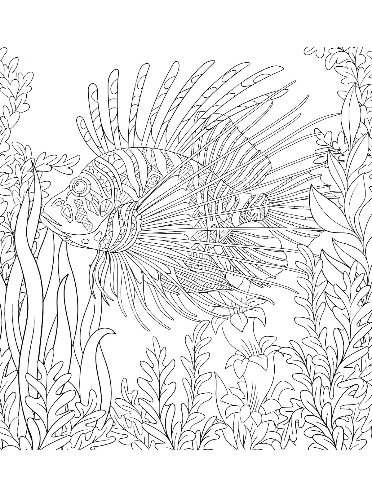 Морское дно антистресс