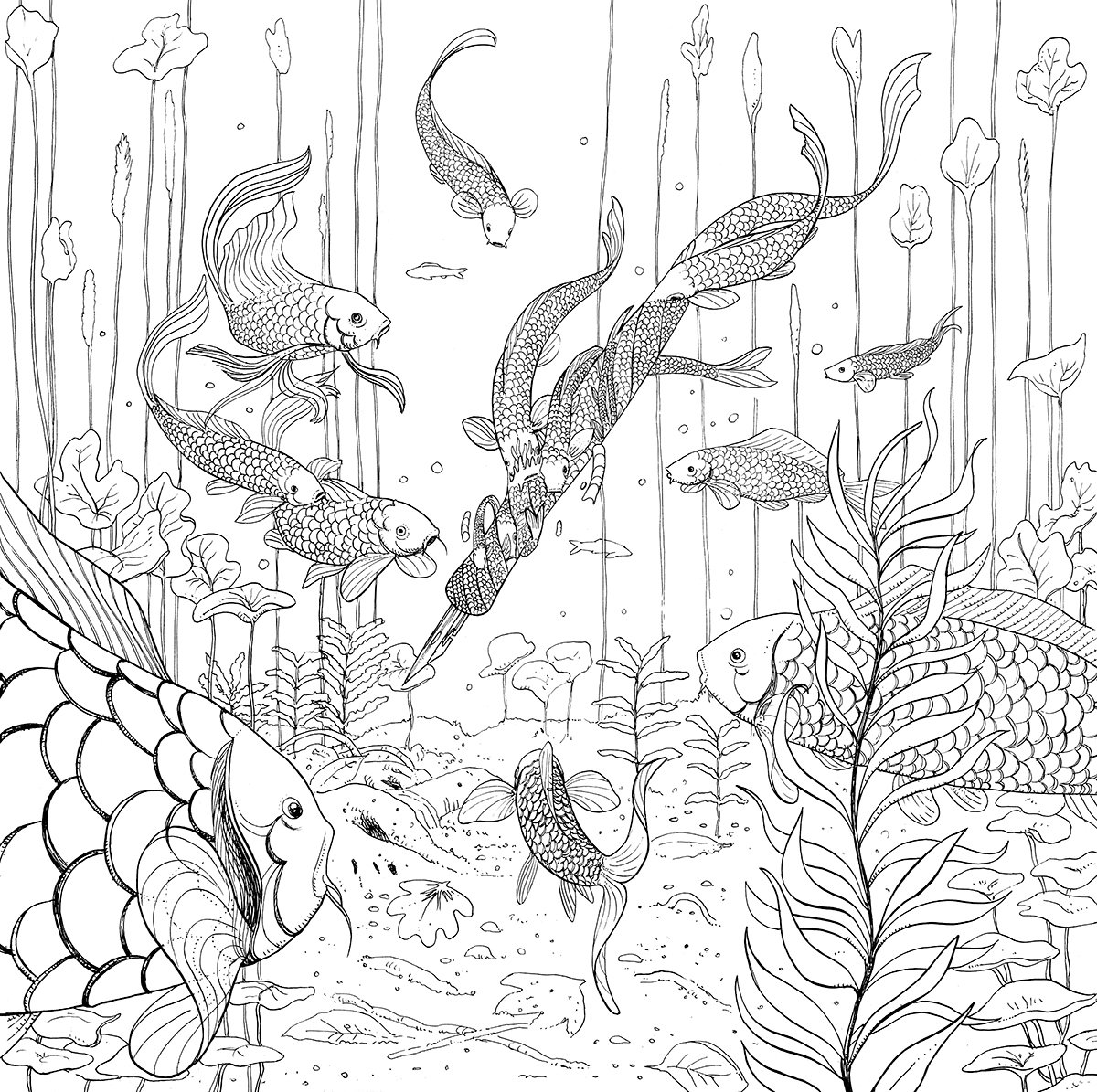 Раскраски подводный мир антистресс