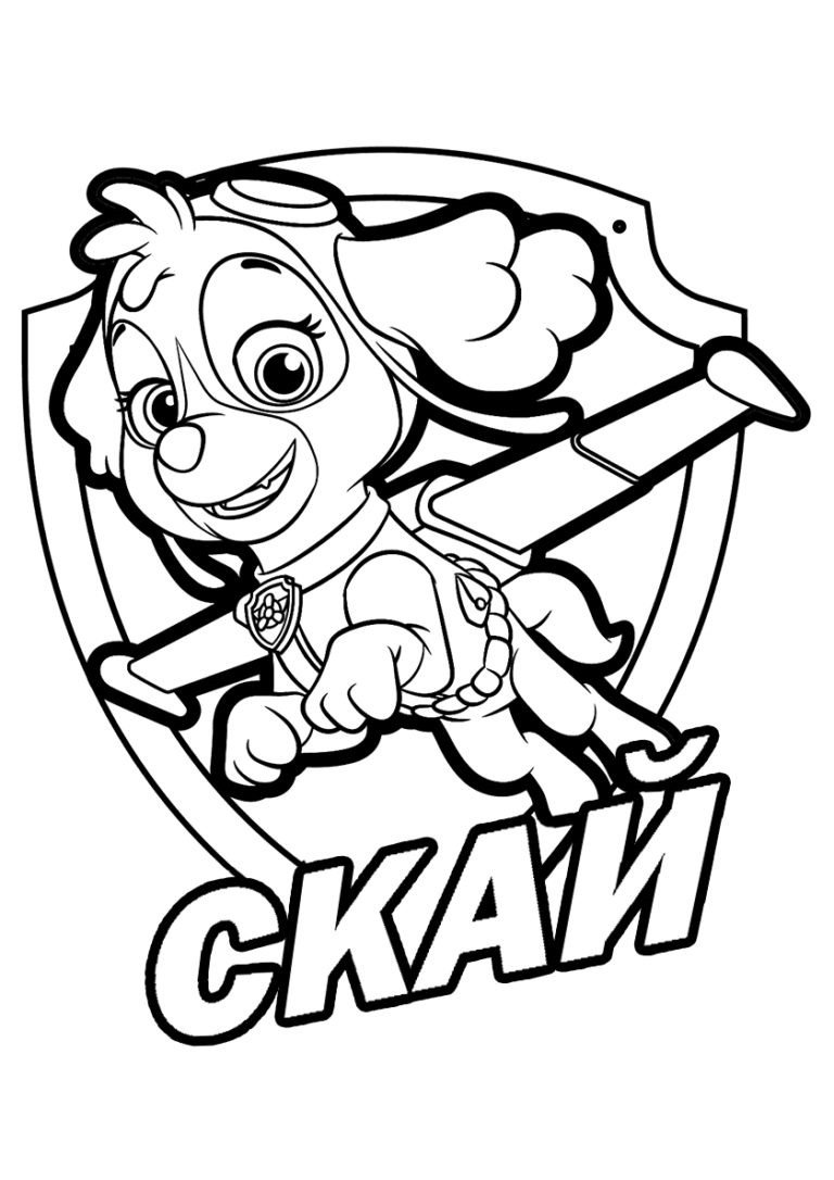 Гонщик Щенячий патруль раскраска