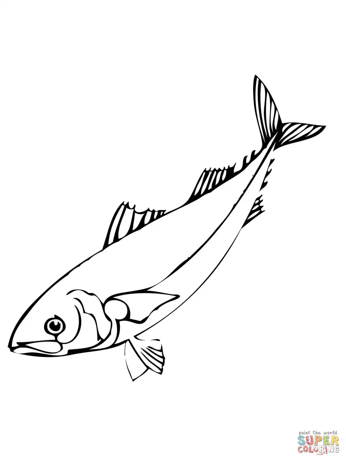 Скумбрия раскраска