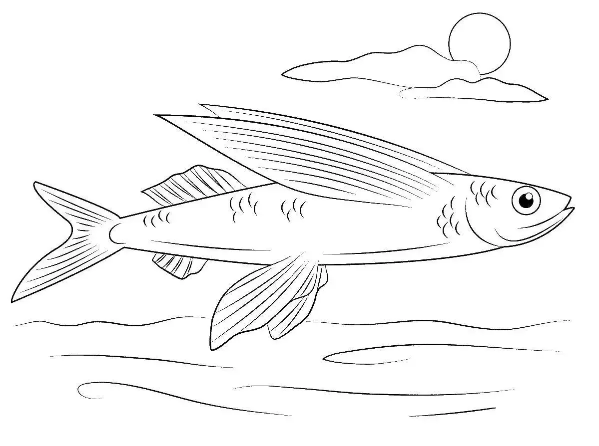 Рыба вид сверху