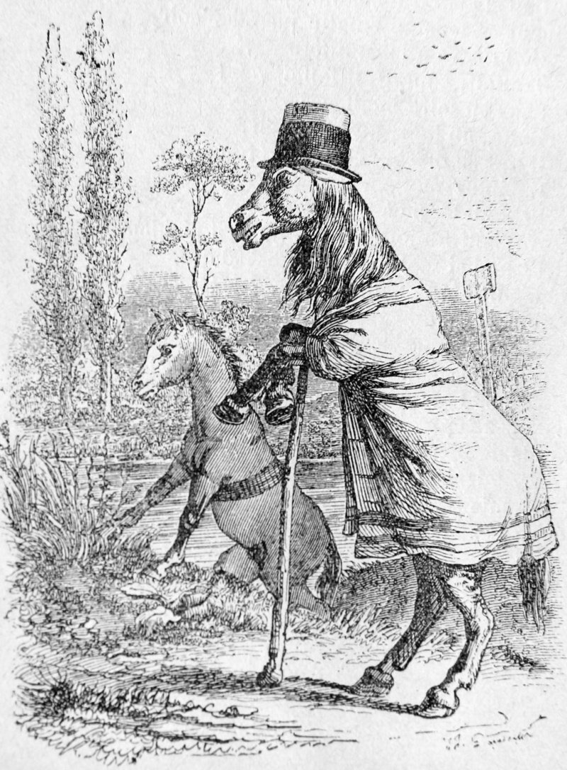 Филин и осел басня Крылова