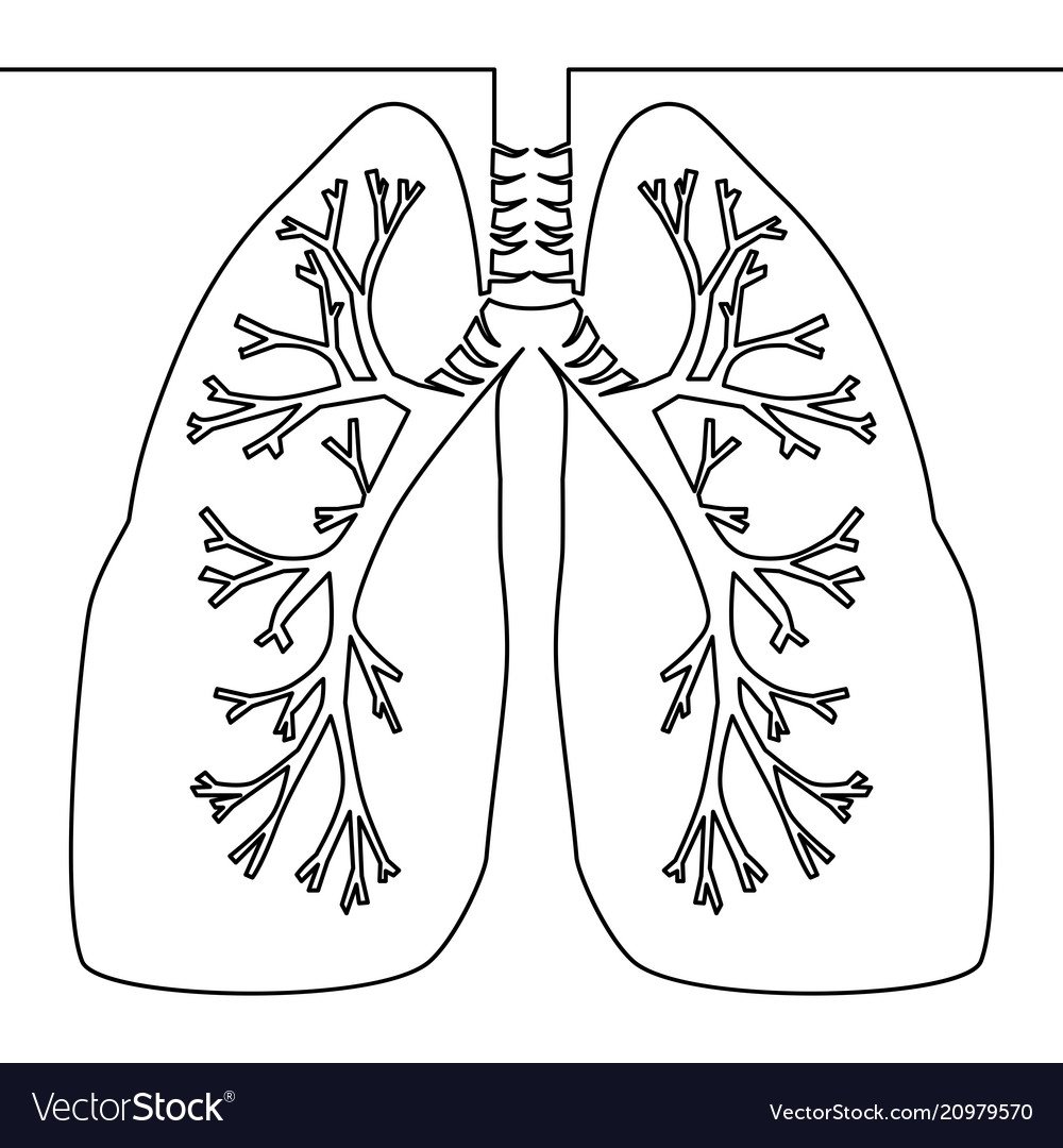Трафарет легких человека