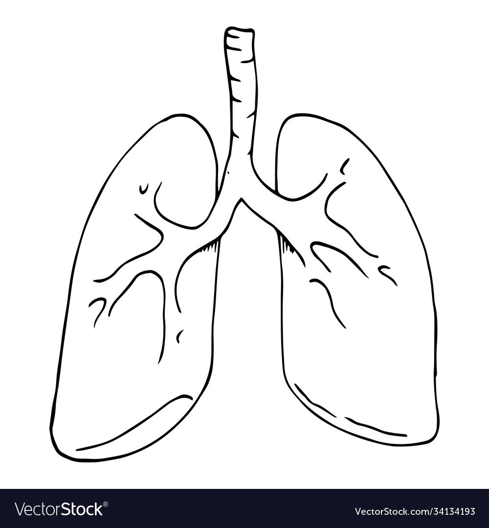 Трафарет легких