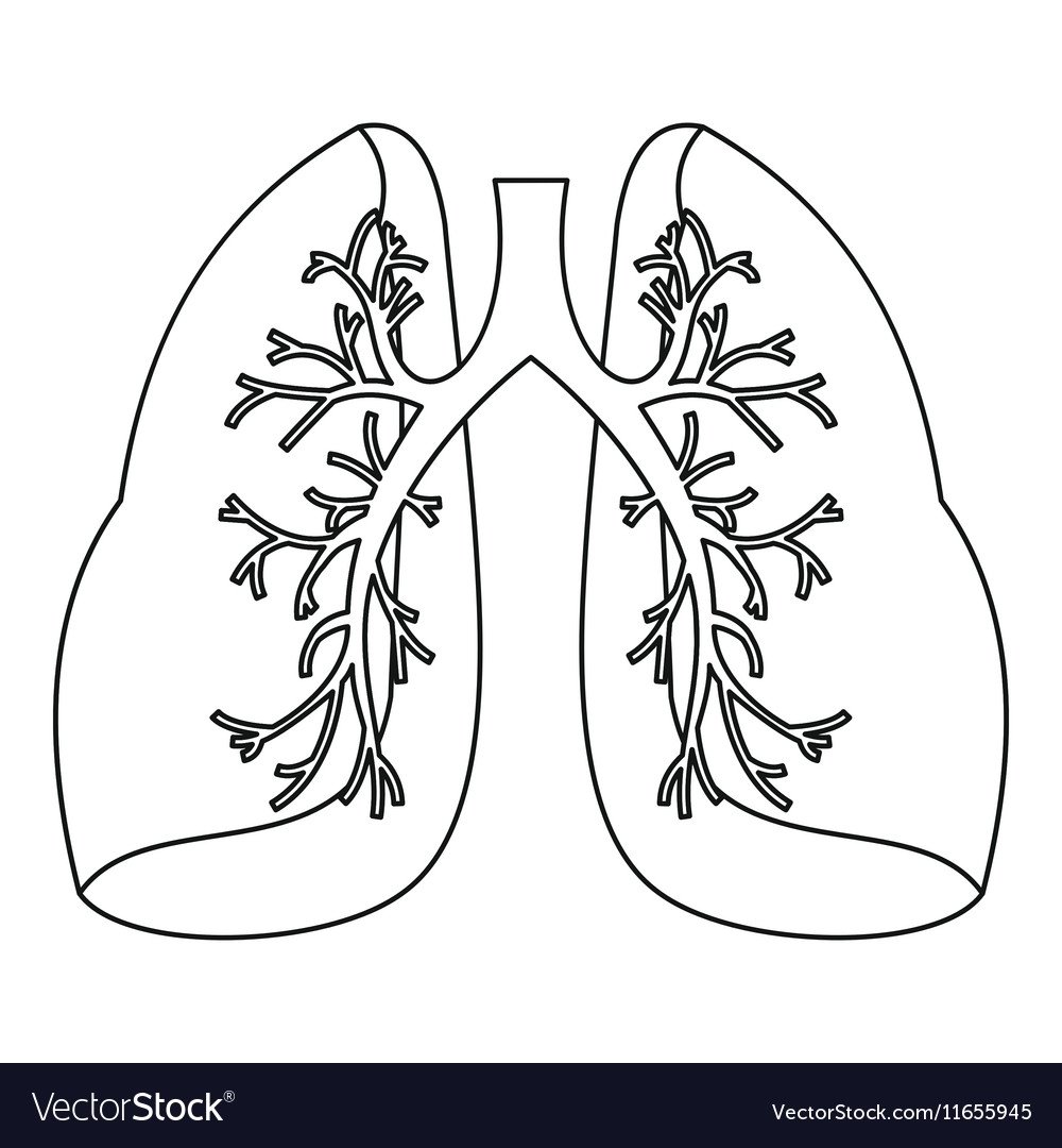 Раскраска легкие человека