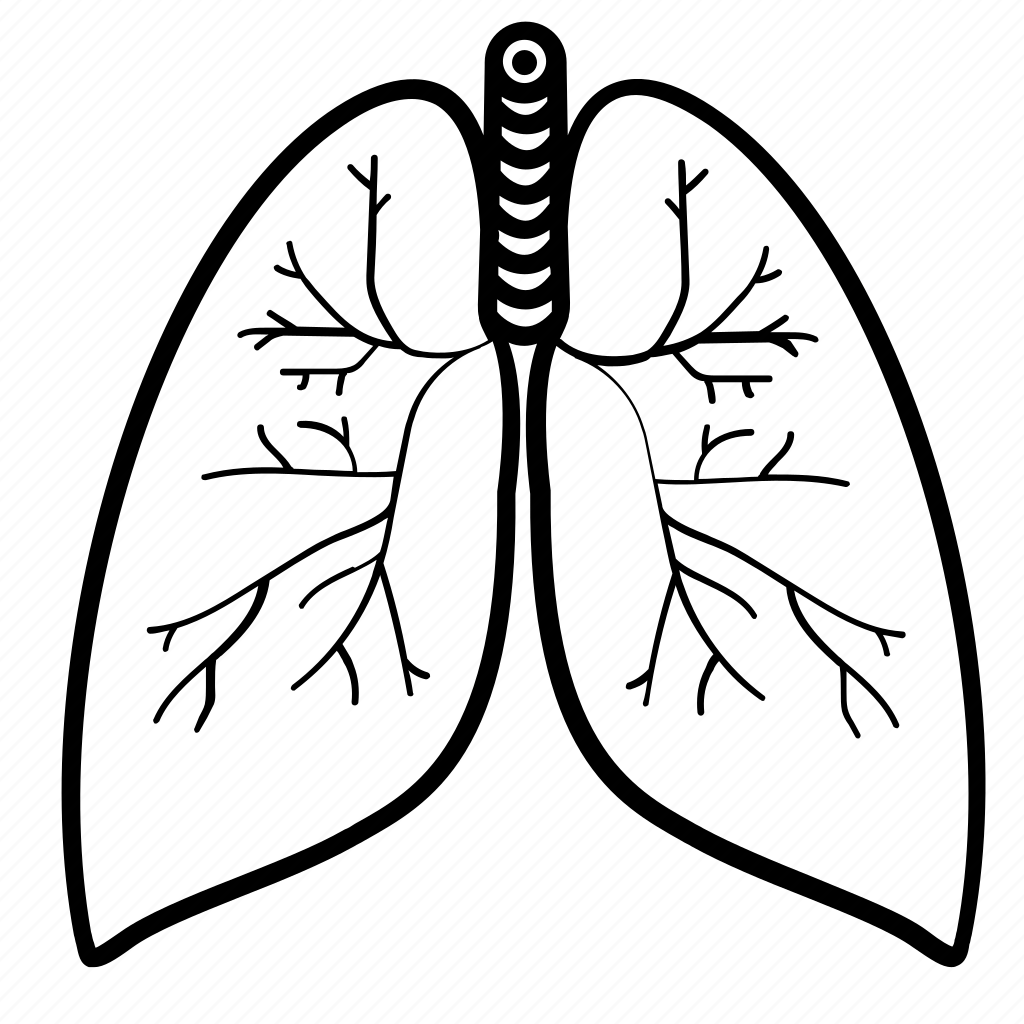 Легкие человека для детей