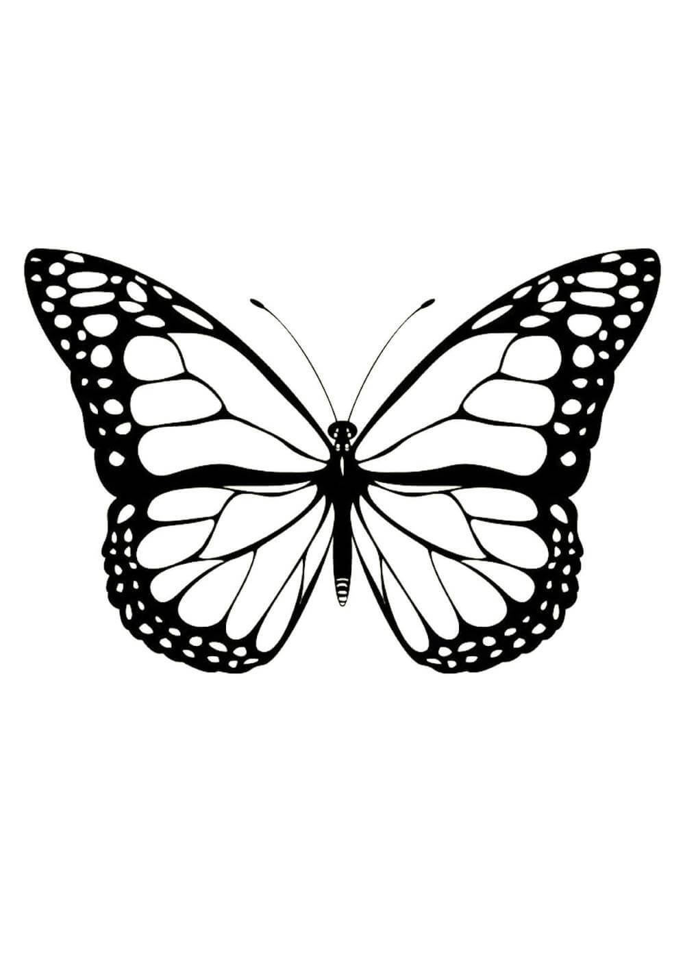Бабочки из пинтереста черно белые