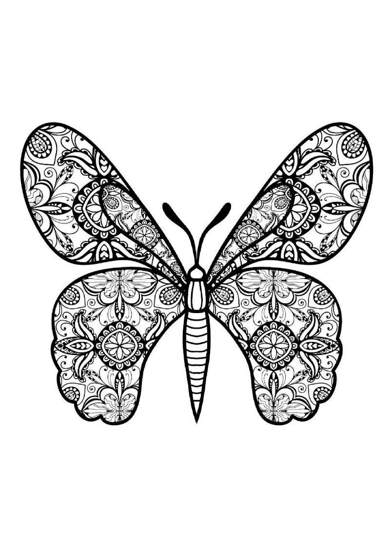 Раскраска "бабочки"