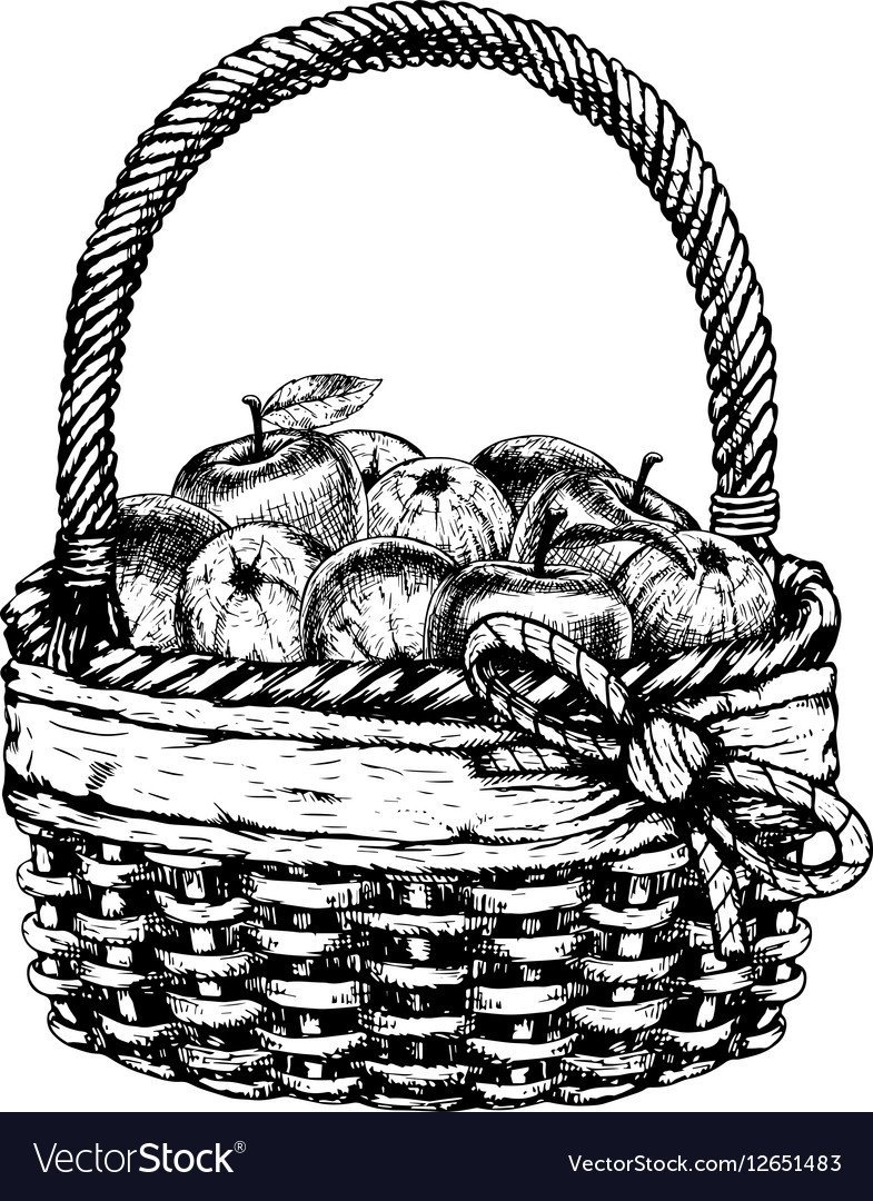 Корзина осенних овощей раскраска