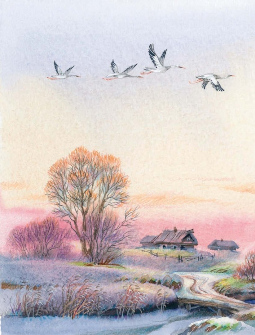 Афанасий Фет картины природы