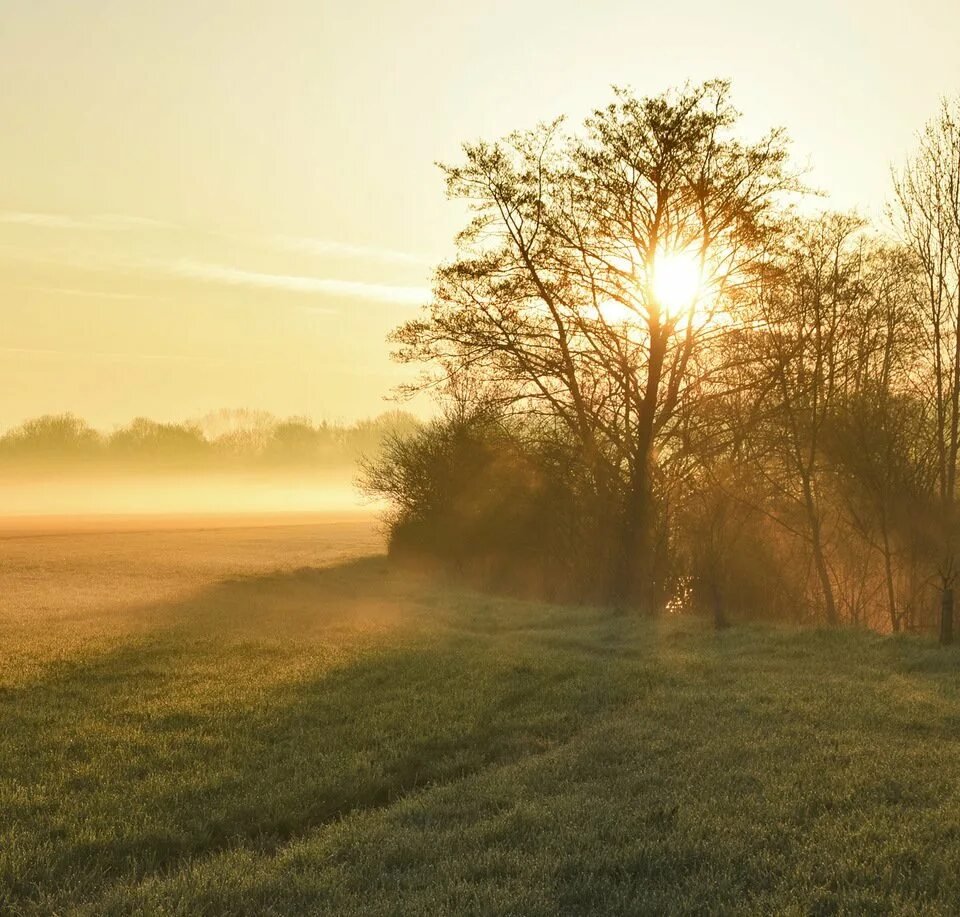 Солнце в деревне