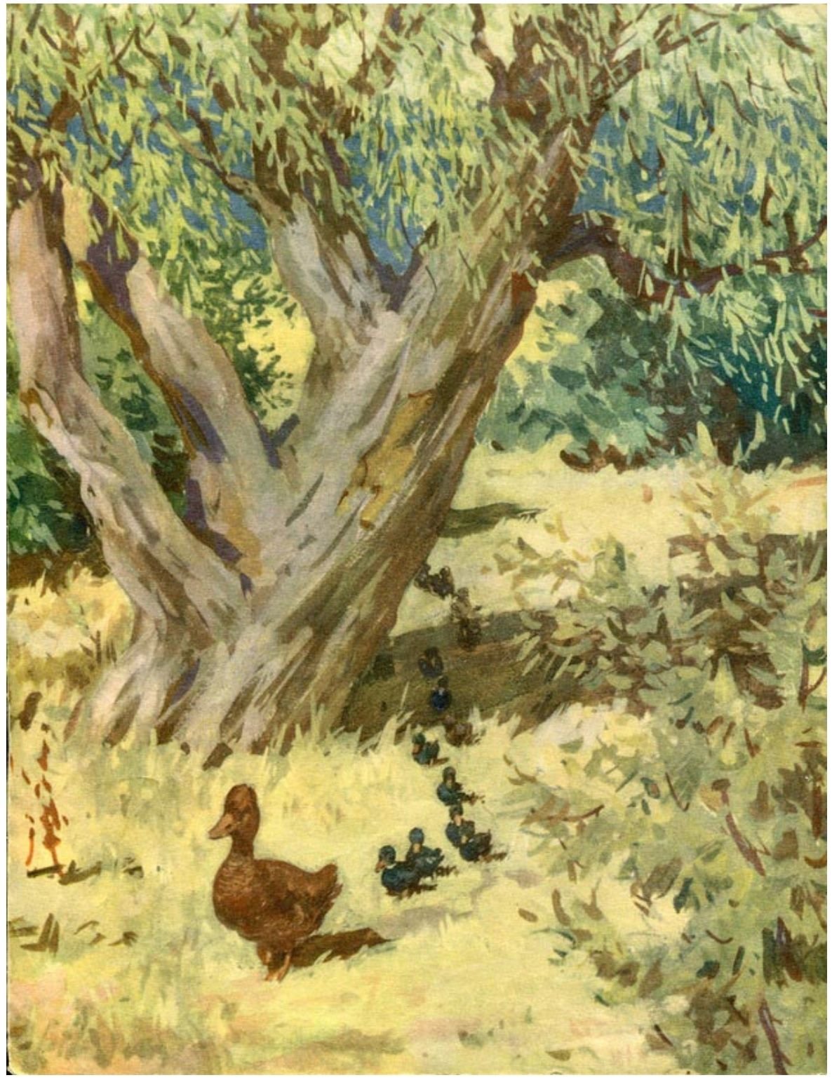 Пришвин утята