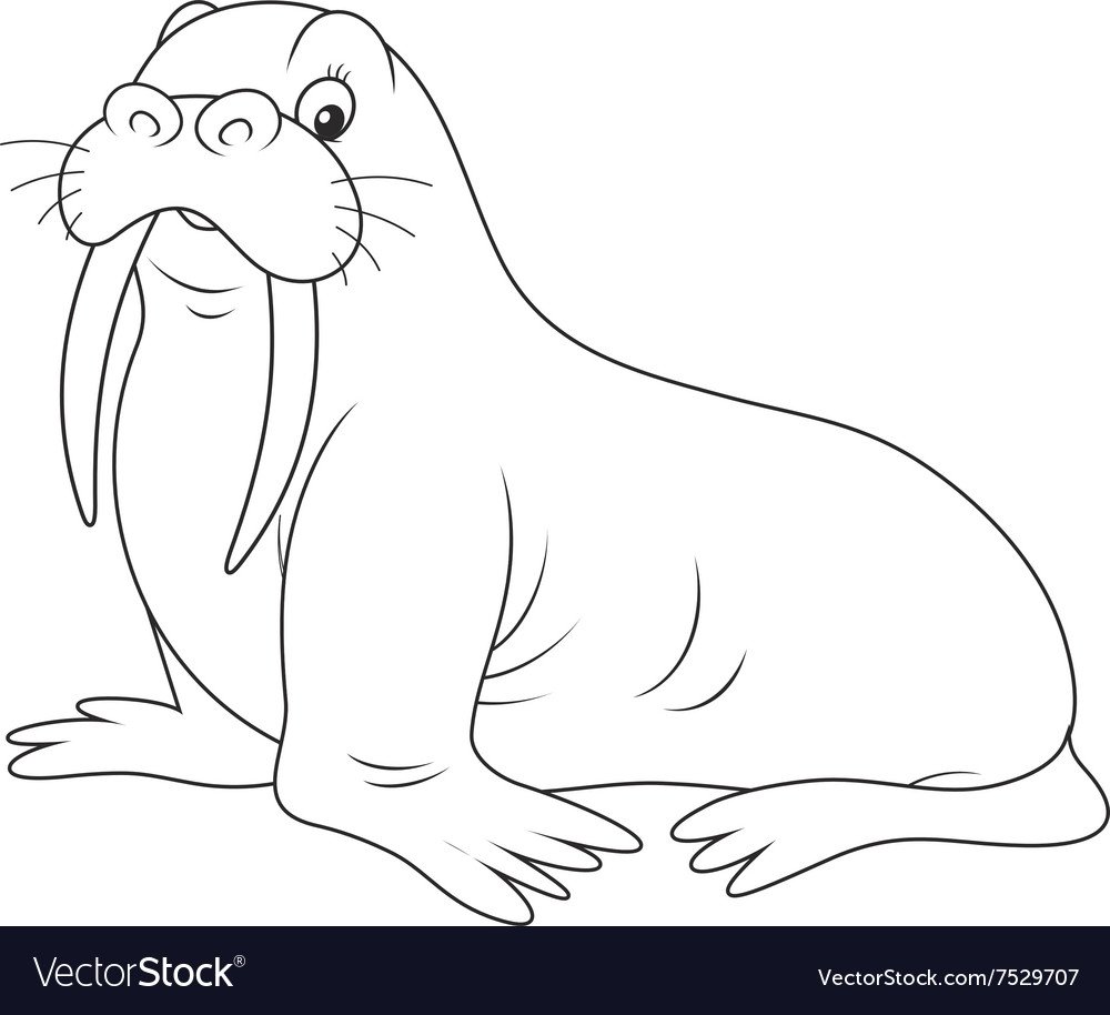 Белый медведь раскраска для детей