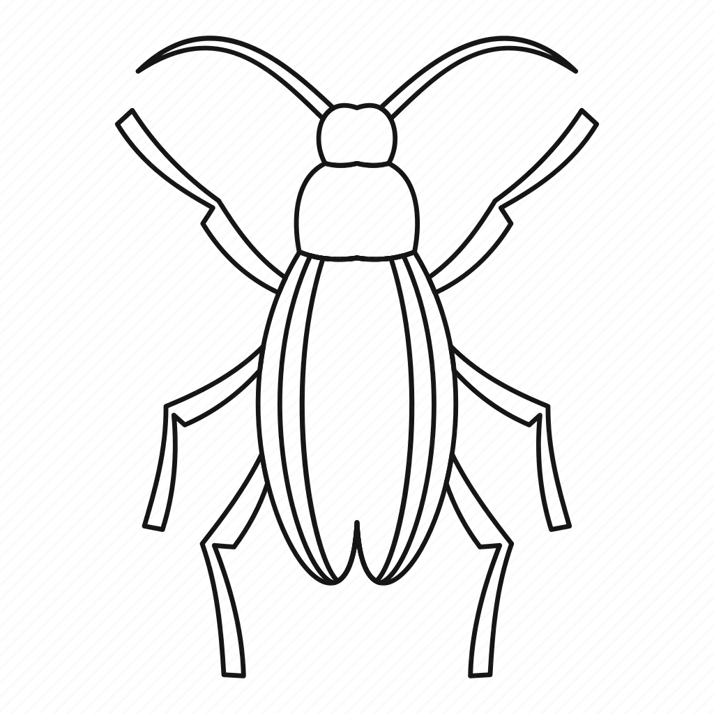 Жук дровосек реликтовый рисунок