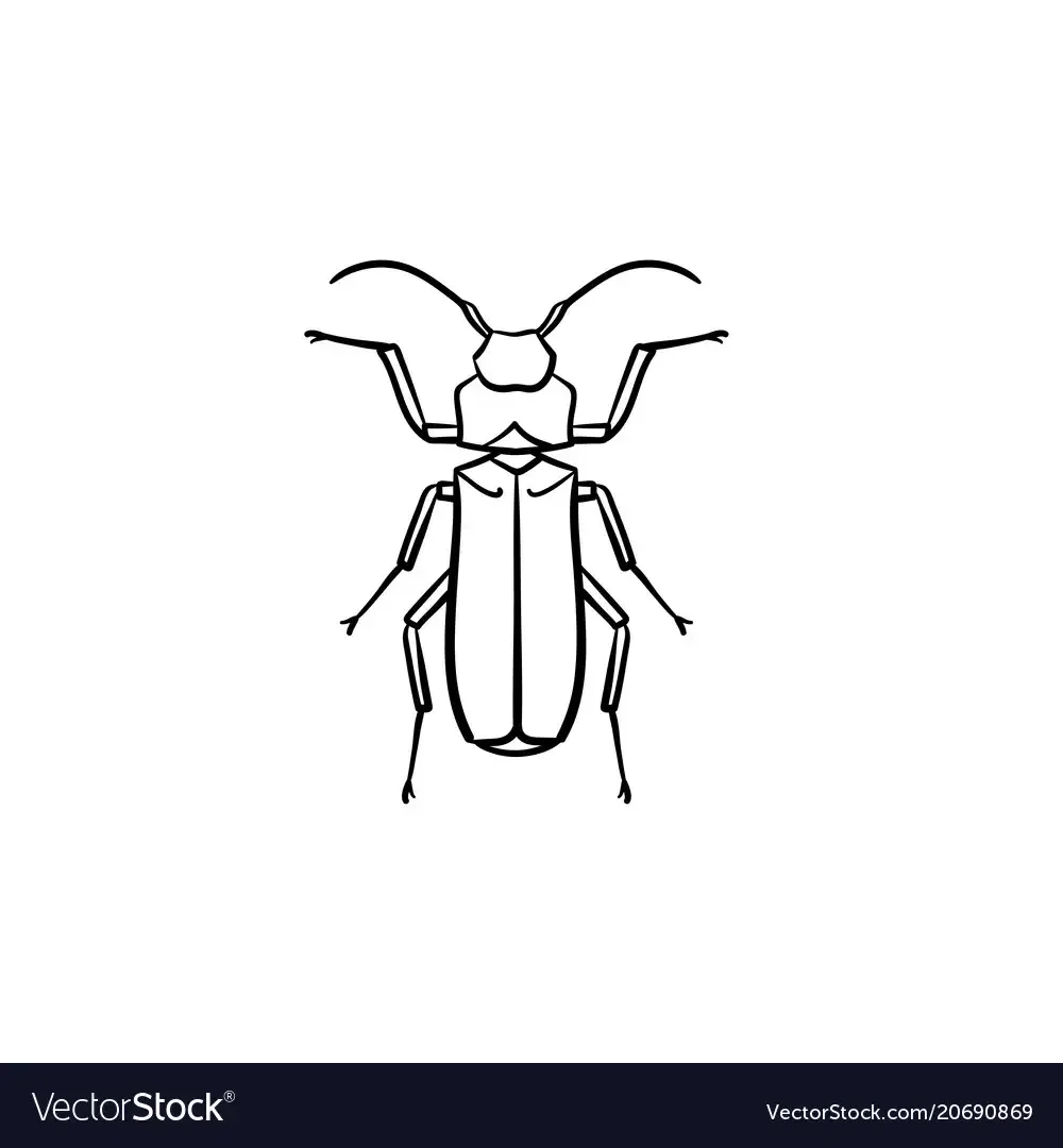 Жук Златка раскраска