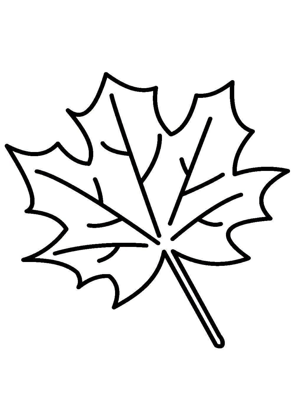 Трафареты кленовых листьев