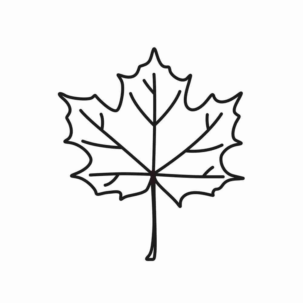 Лист клена шаблон