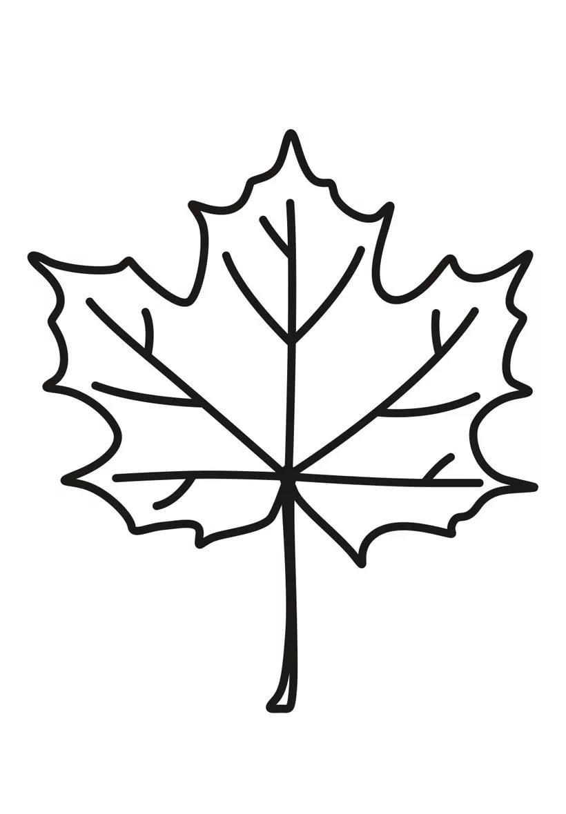 Орнамент листья клена