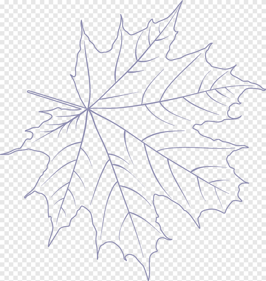 Кленовый лист раскраска