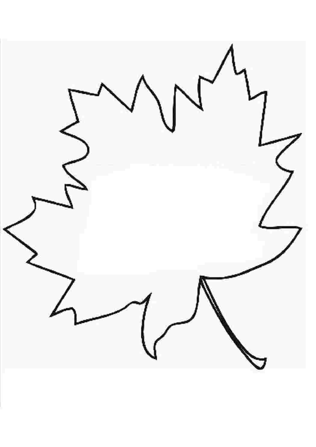 Кленовый лист для гравировки