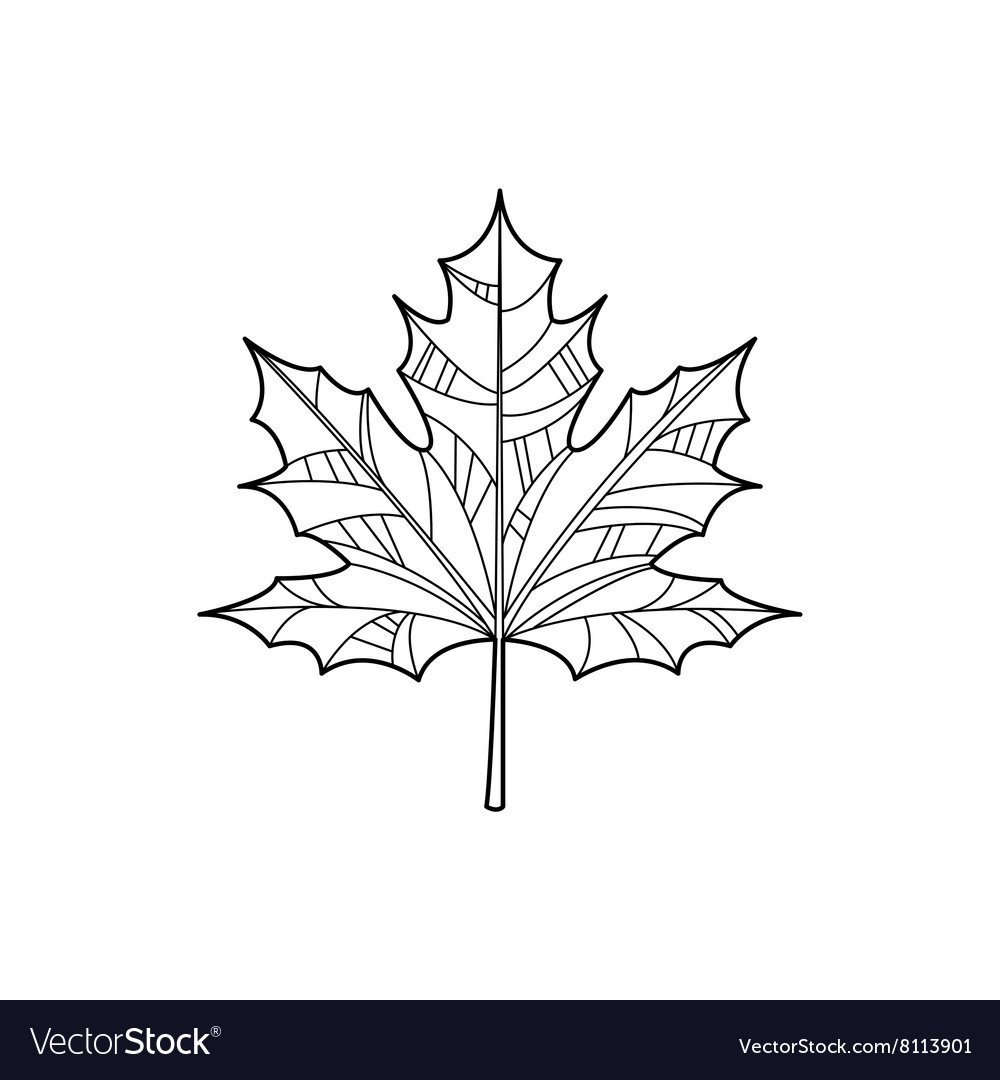 Очертание кленового листа