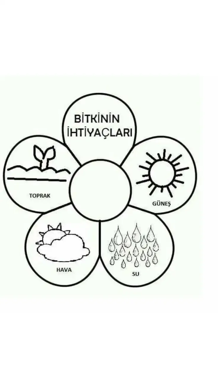 Круг рисунок