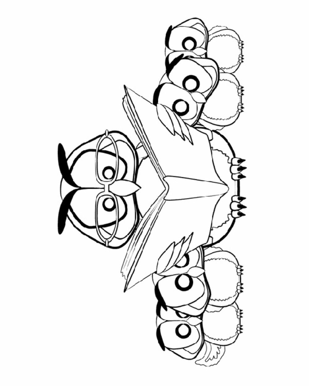 Раскраска мудрая Сова с книгой