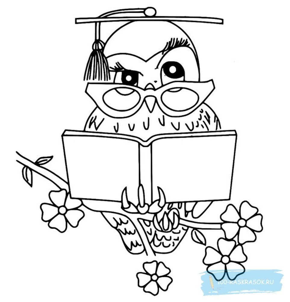 Раскраски на день УЧИЕ