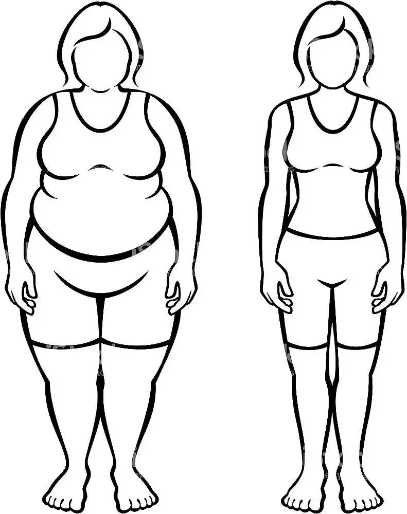 Контур полной женщины
