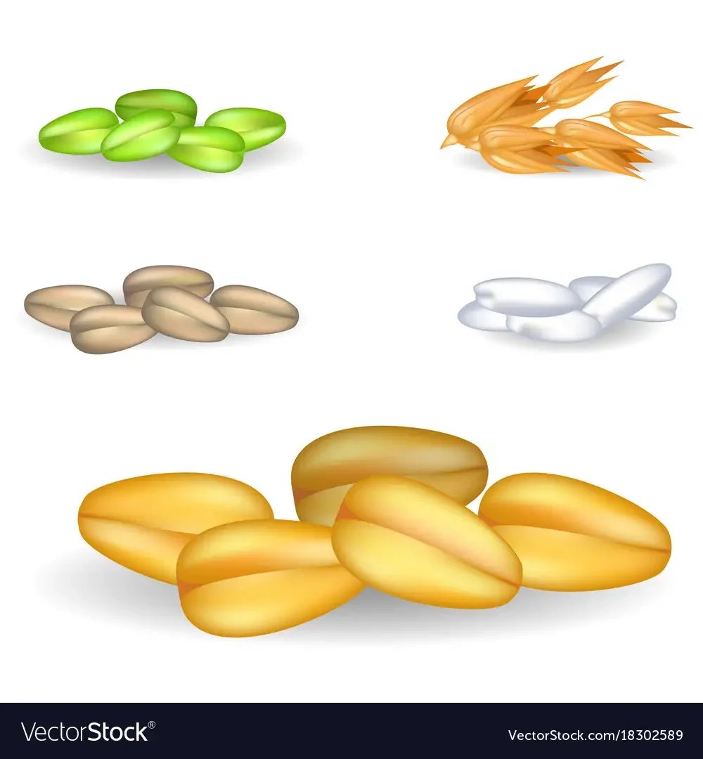 Зернышко для детей