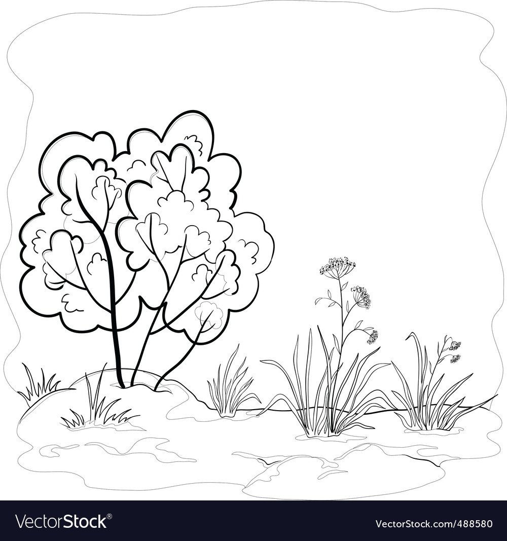 Куст раскраска для детей