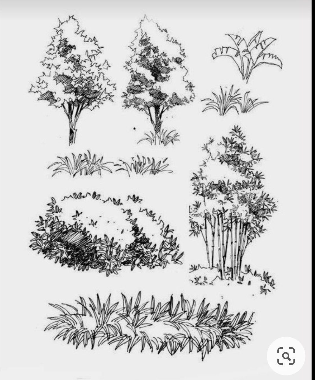 Трава стаффаж