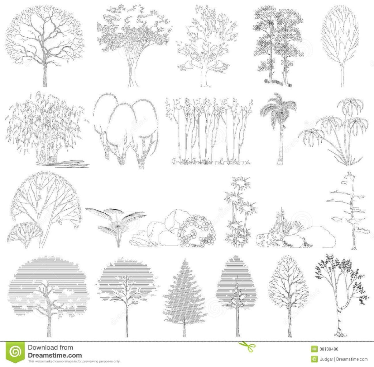 Зарисовки деревьев и кустарников