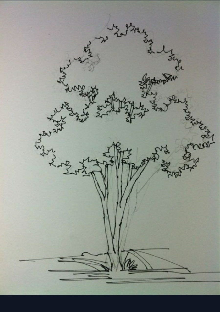 Антураж кустарники