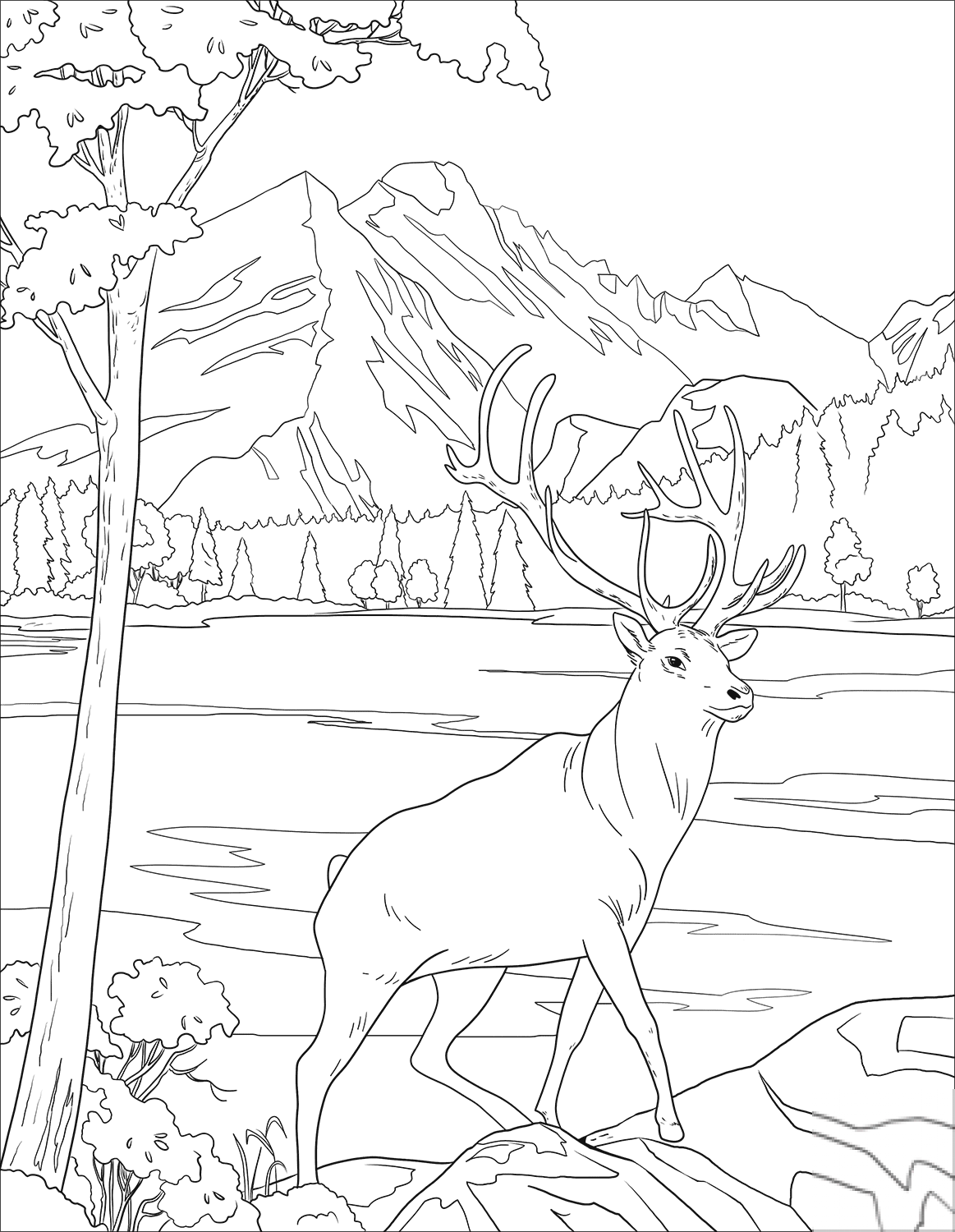 Орел раскраска