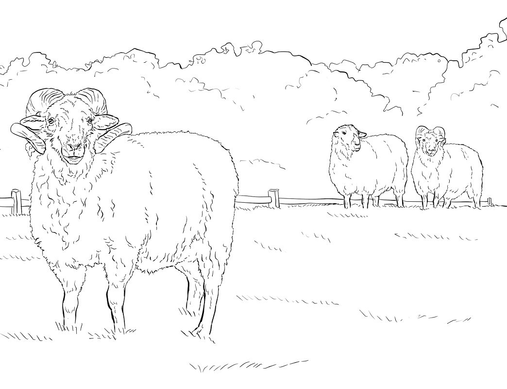 Пастухи Рождество раскраска