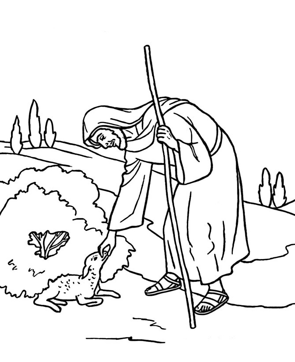 Стадо овец раскраска