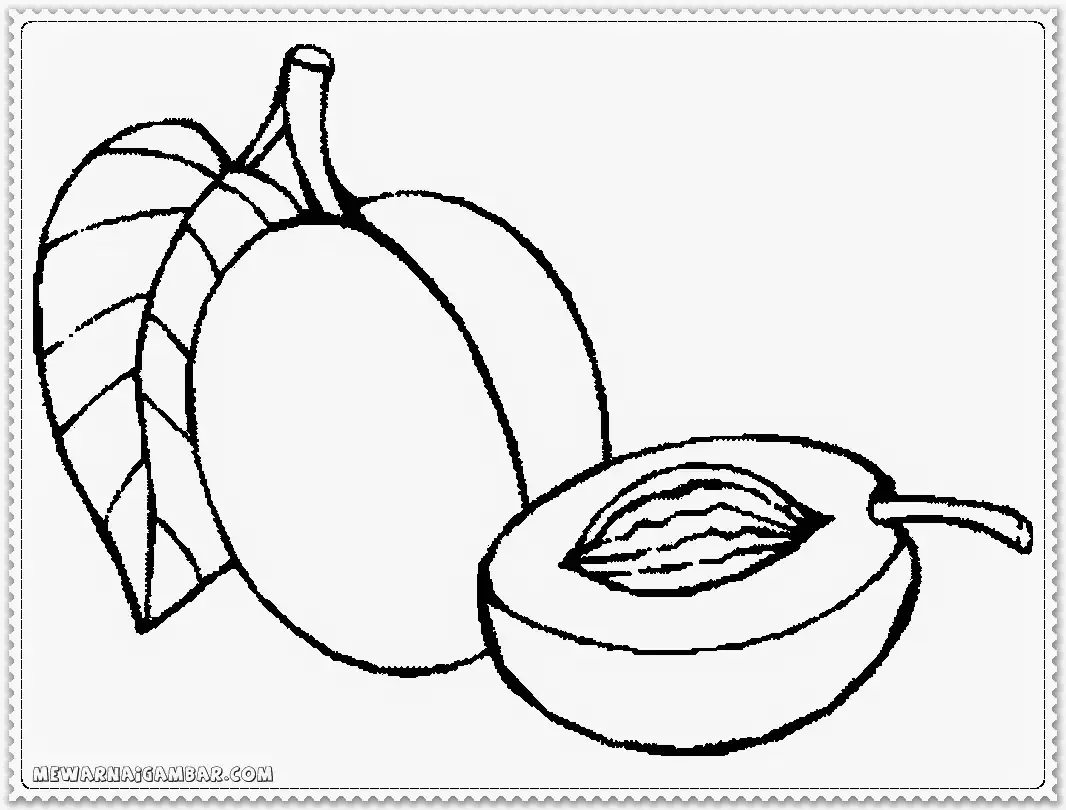 Ветка вишни раскраска для детей