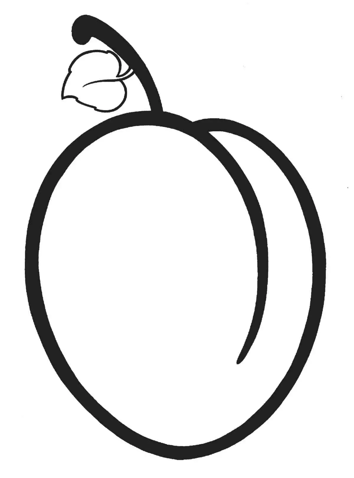 Слива раскраска