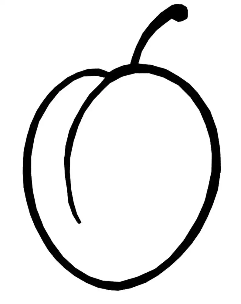 Дерево слива раскраска