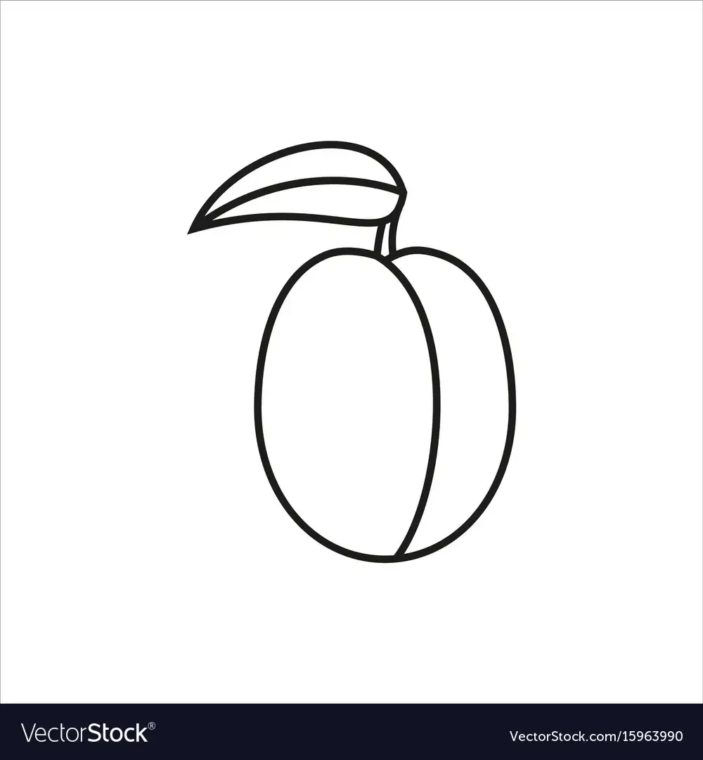 Фрукты. Раскраска