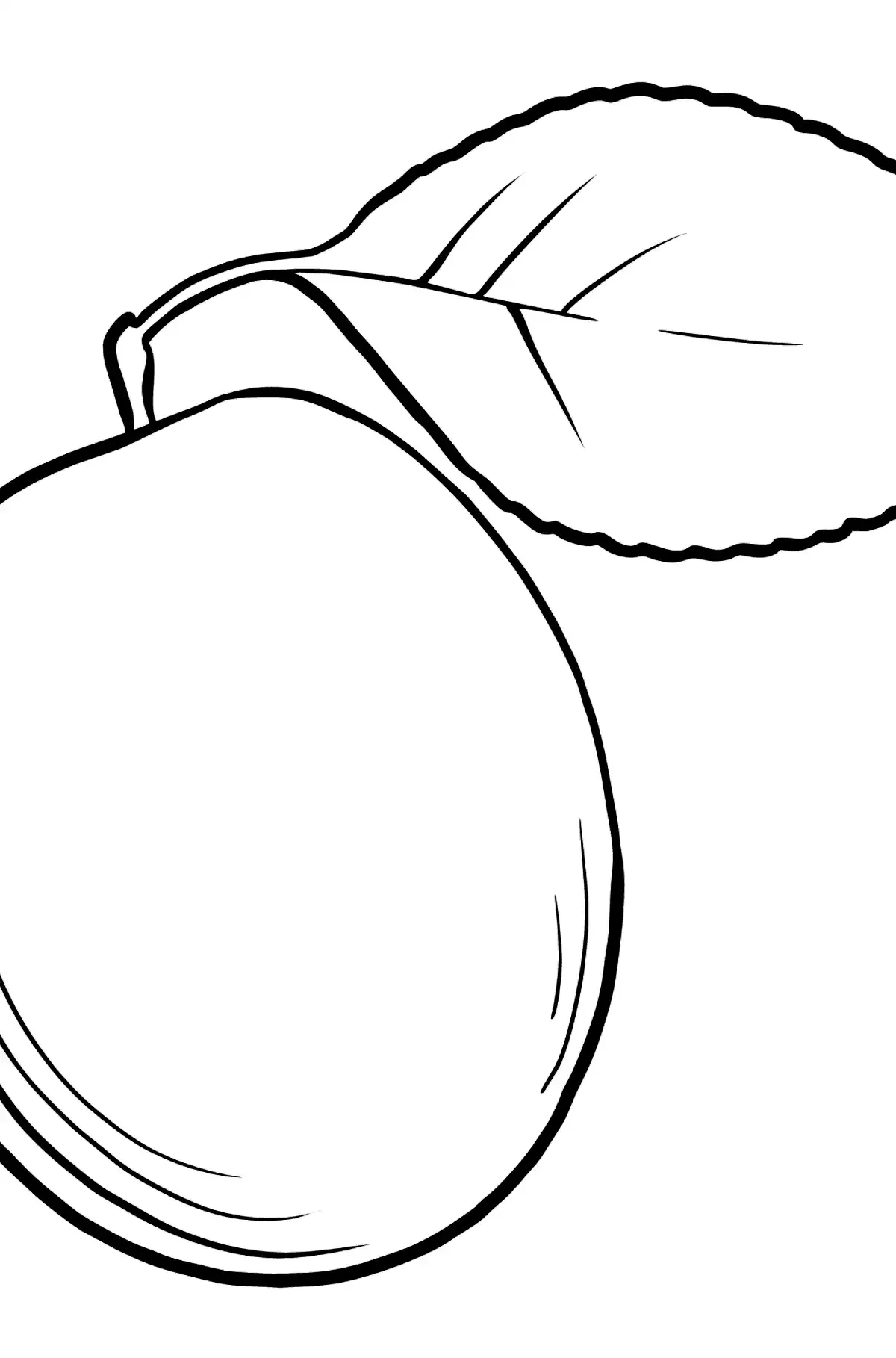 Слива раскраска для детей